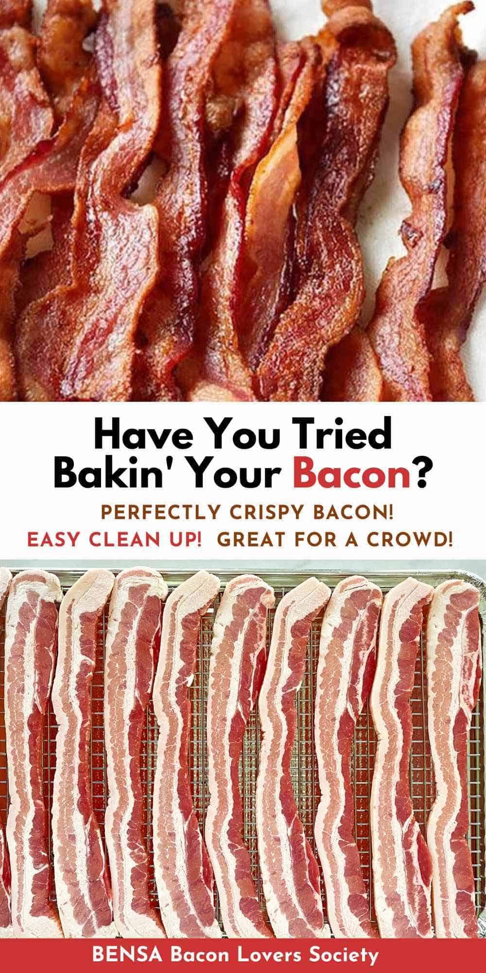 A dozen slices of golden brown crispy oven cooked bacon, and nine strips of uncooked bacon on a cookie sheet.