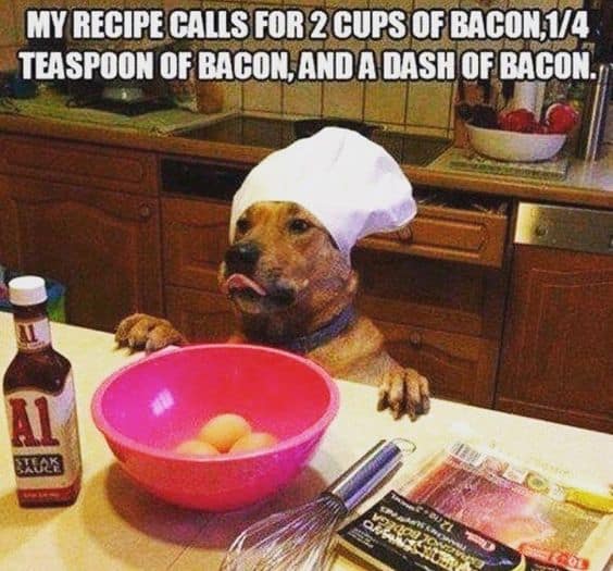 A dog with a chef hat and text: My recipe calls for 2 cups of bacon, 1/4 teaspoon of bacon, and a dash of bacon.
