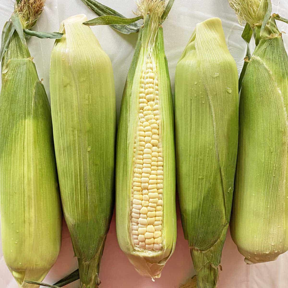 Five ears of unshucked corn