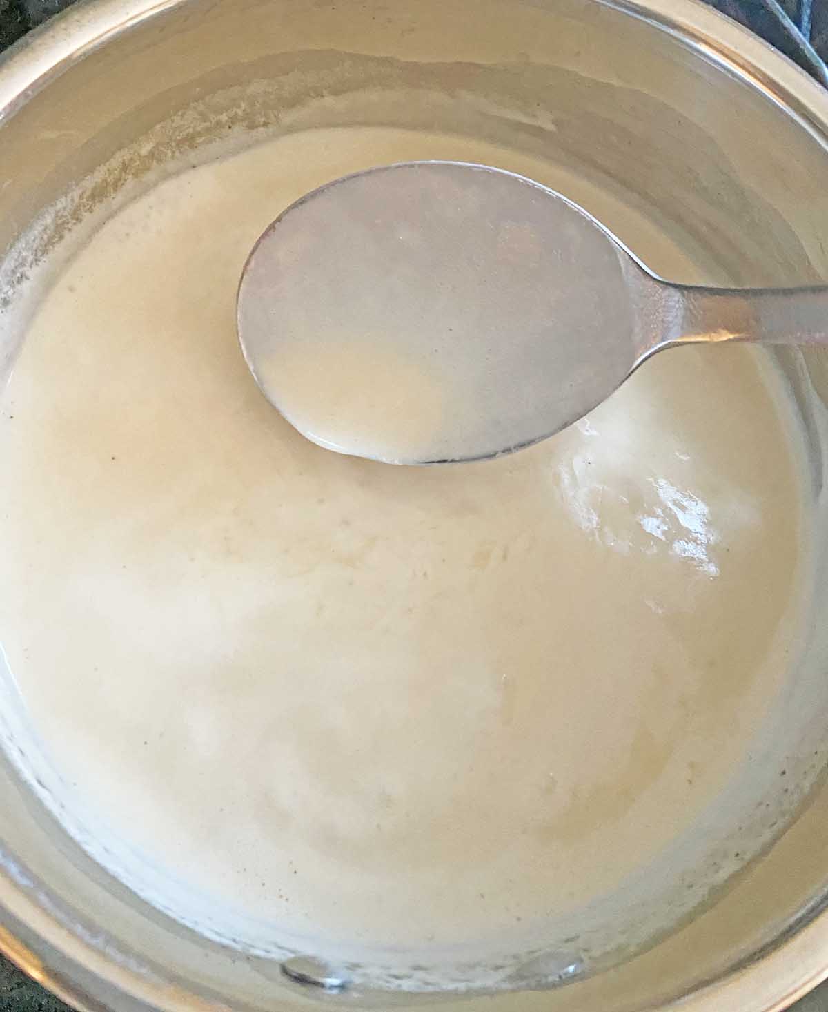 Close up of a spoon covered in creamy sauce.