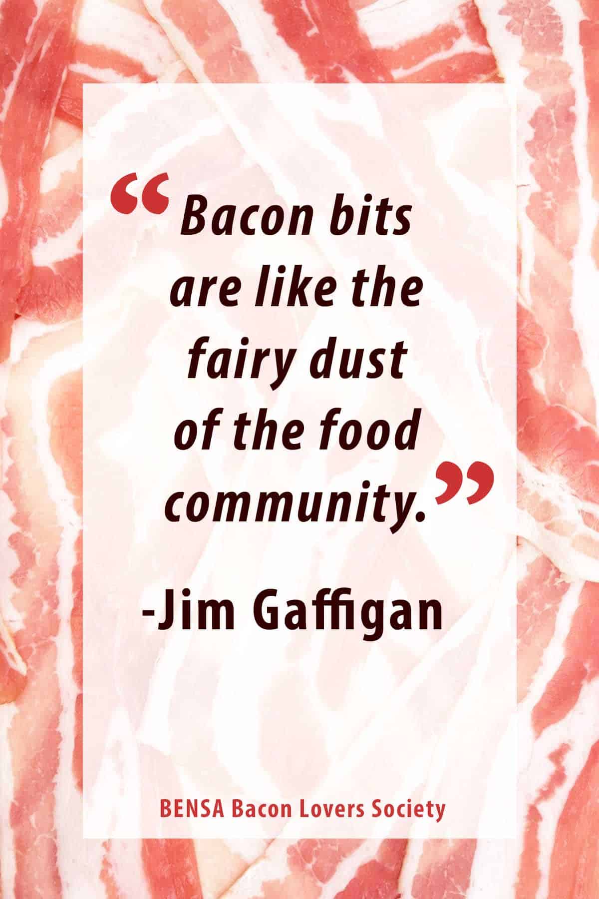 Pinterest pin with quote: "Bacon bits are like the fairy dust of the food community." - Jim Gaffigan
