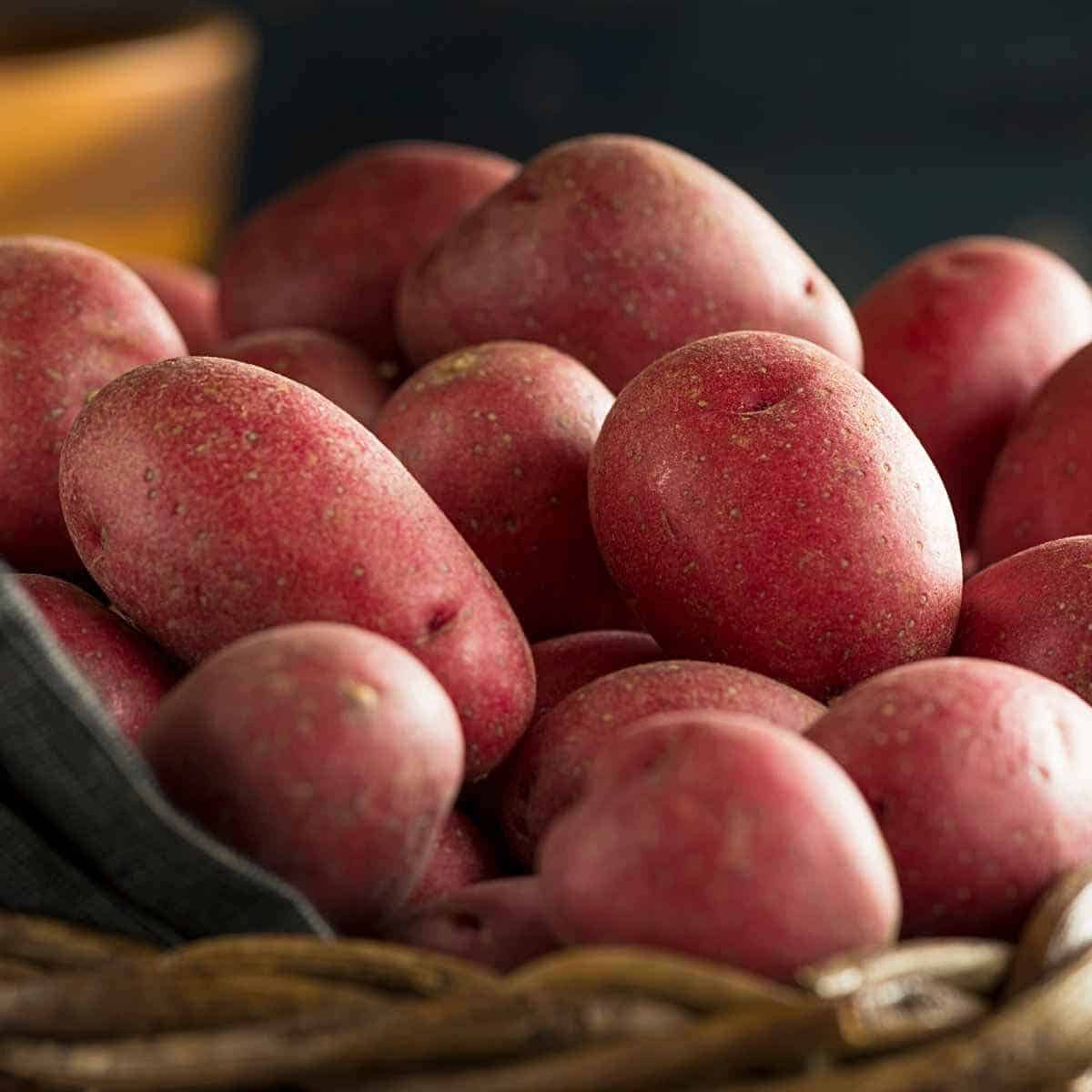 Several pounds of fresh red skin potatoes in a basket.