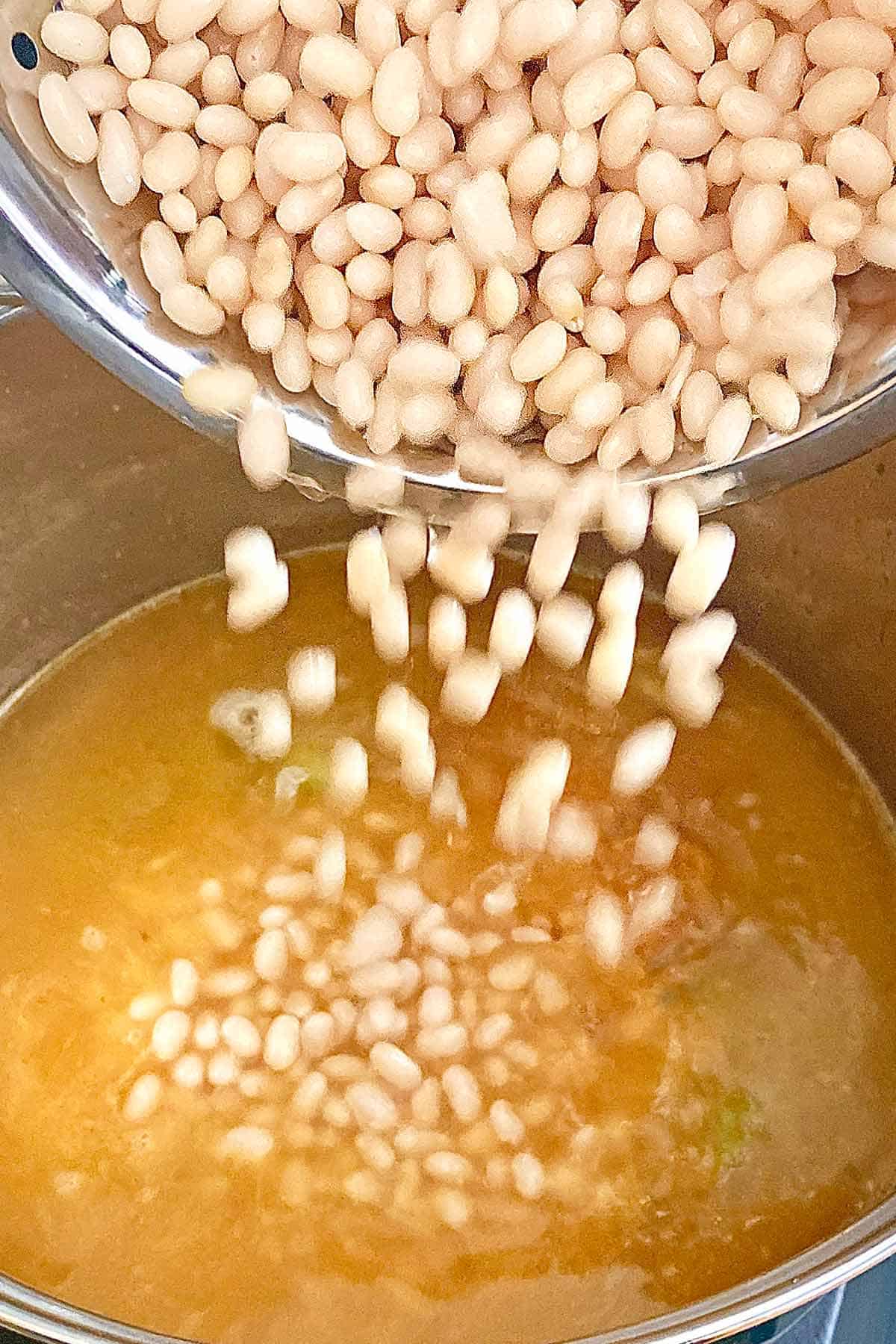 Pouring soaked navy beans into the soup stock in a pot.