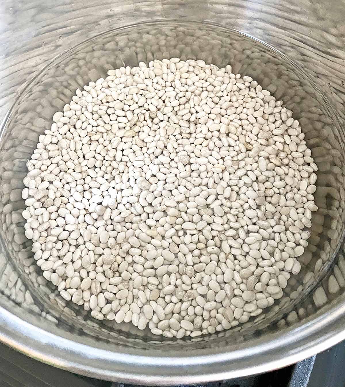 Dried navy beans soaking in a pot of water.