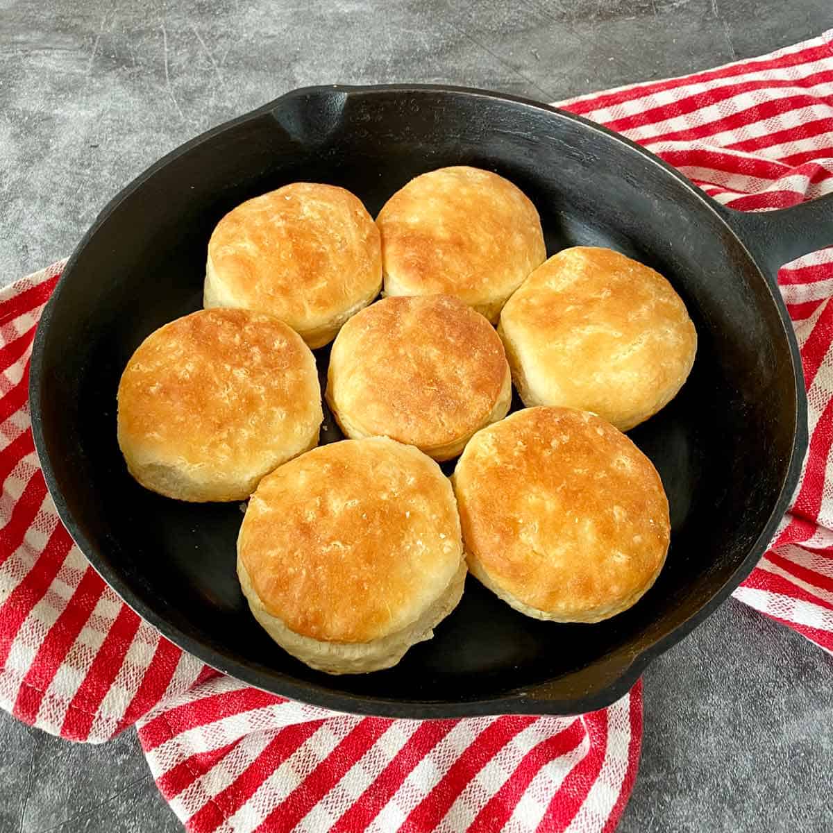 Golden brown homemade bacon grease biscuits in a cast iron skillet with a red and white dish towel.