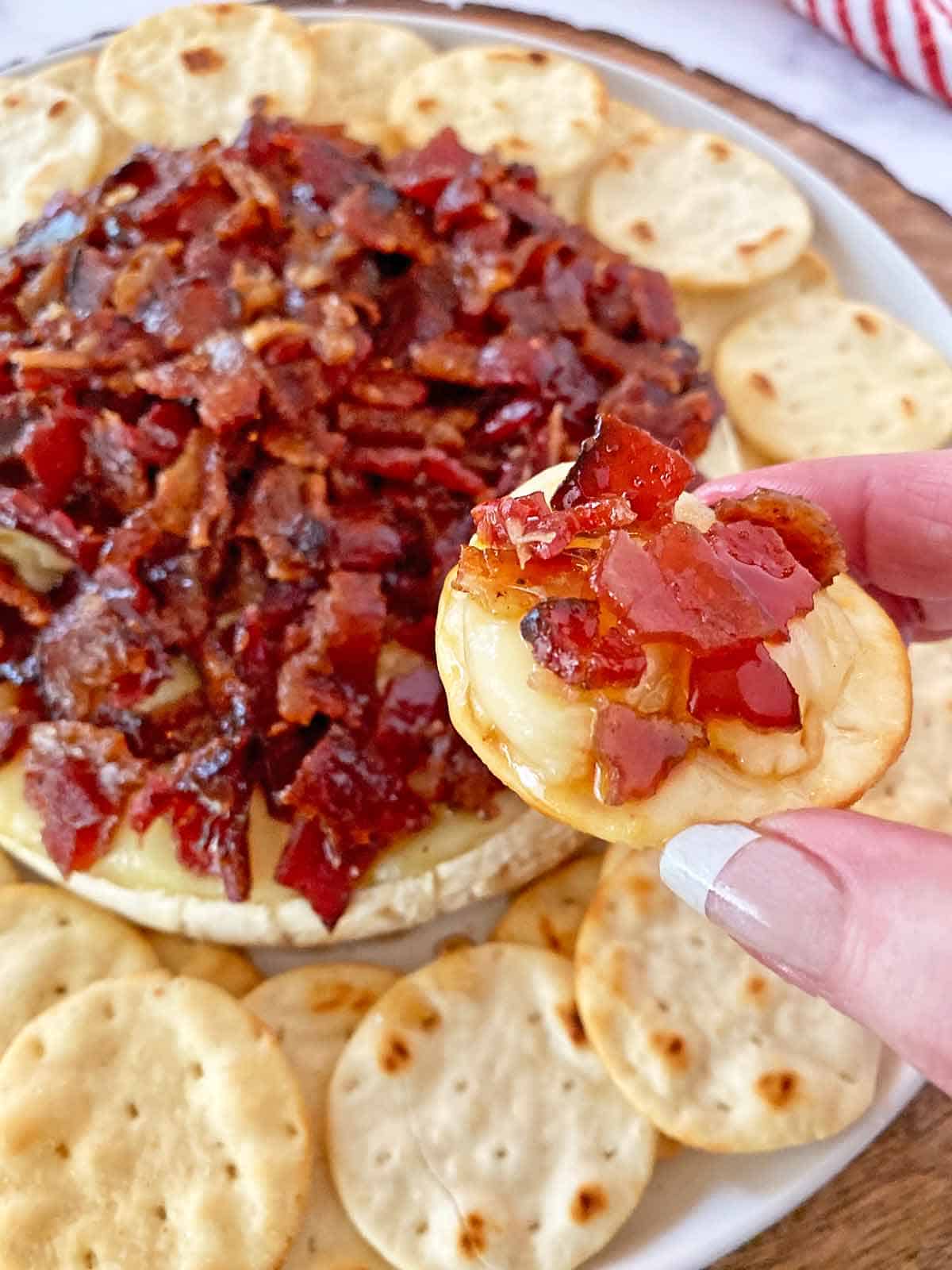 A hand holding a cracker topped with bacon and Brie cheese appetizer.